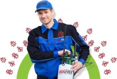 Bug-Free Pest Control Sydney 