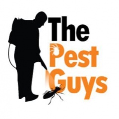 The Pest Guys