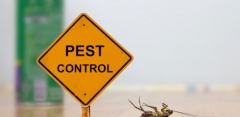 Bug-Free Pest Control Sydney 
