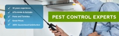 NO1 Pest Control Brisbane