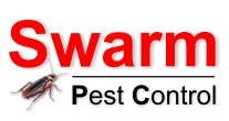 Swarm Pest Control Brisbane