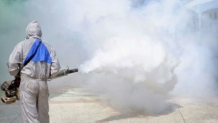  Eco Pest Control Adelaide