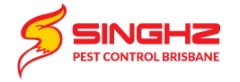 Singhz Pest Control Brisbane