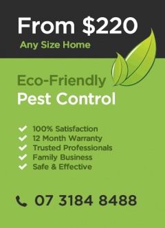 Eco Pest Control Brisbane